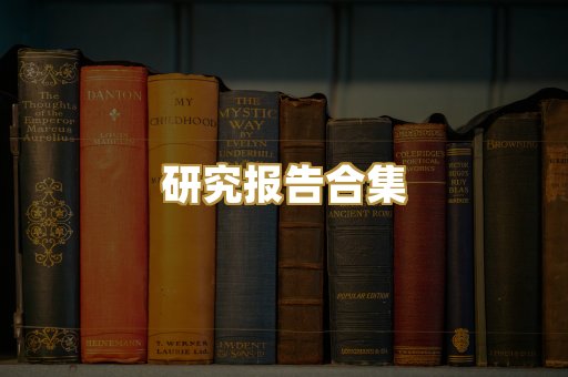 研究报告合集